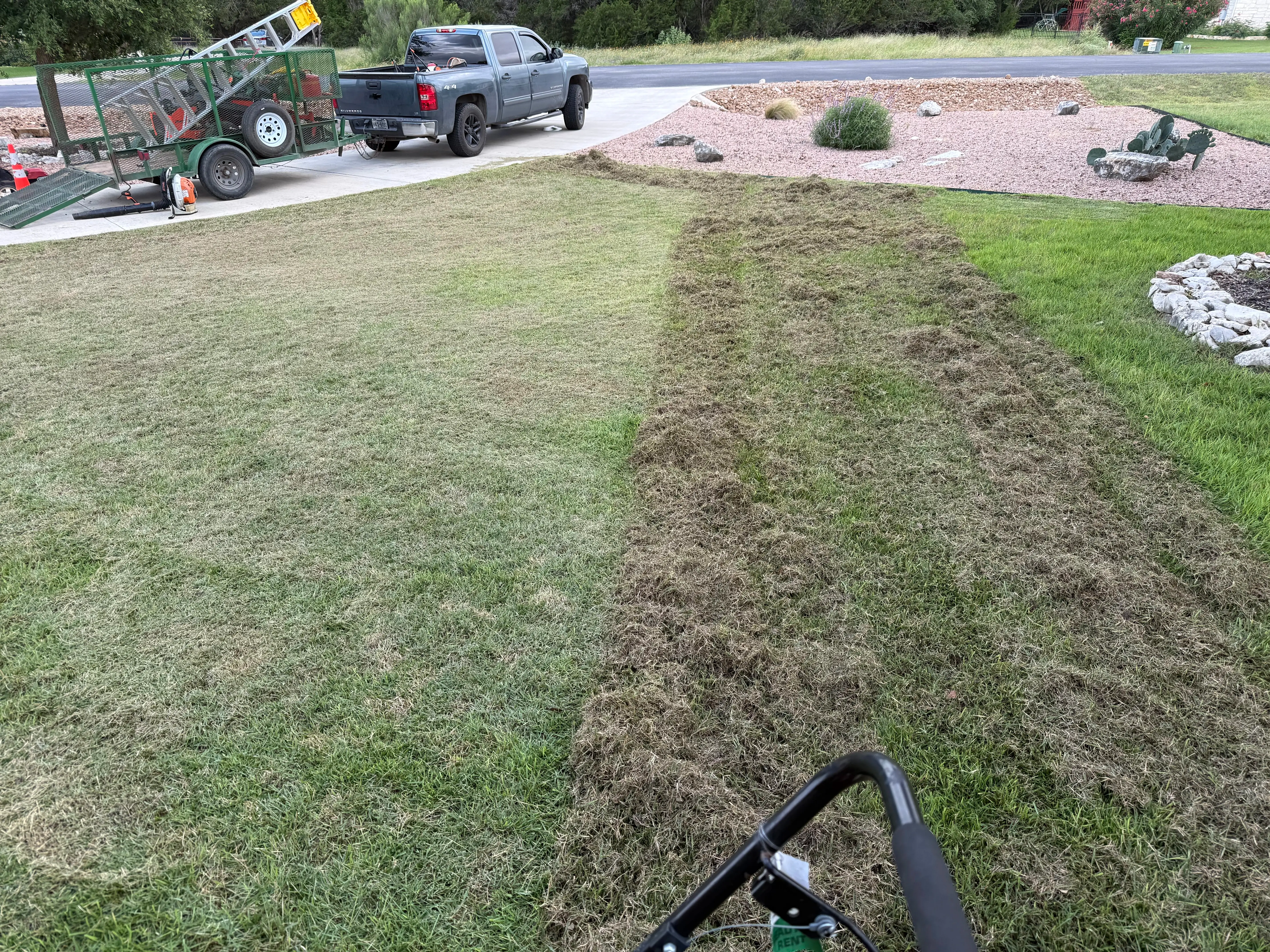 Unkempt lawn in need of mowing and dethatching.