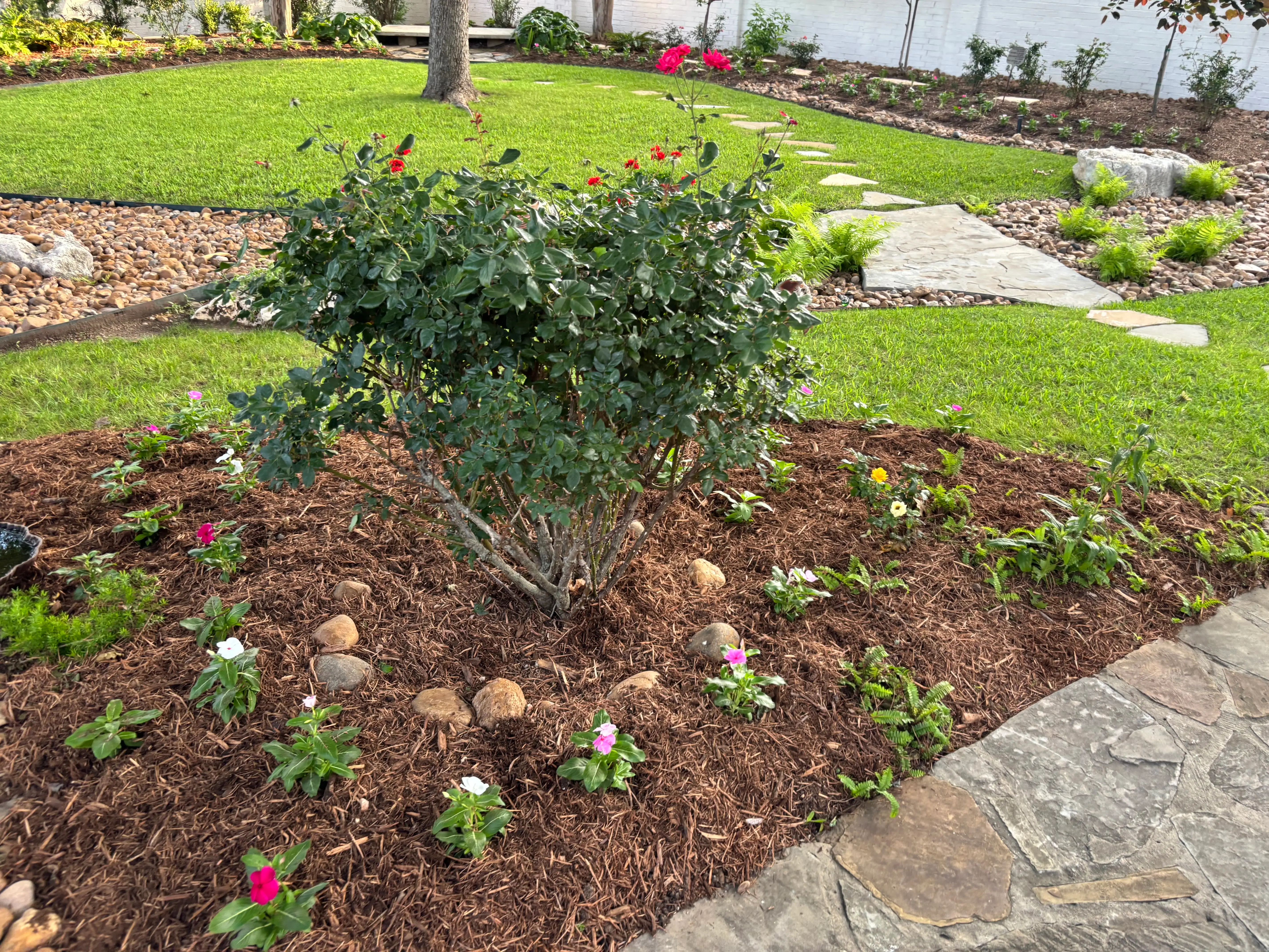 Flower bed and a trimmed bush in a mulch area.